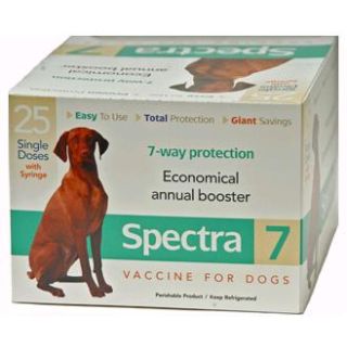 Canine Spectra 8 - 1 Dose EA