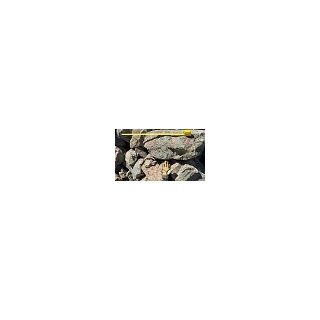 Stone-Carmel 8-18" RipRap