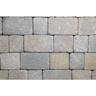 Yankee Cobble Square Vineyard